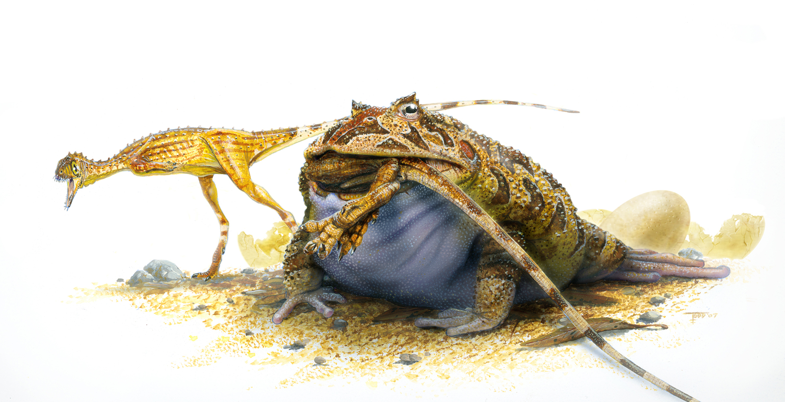 Чудовищна жаба е закусвала с динозаври