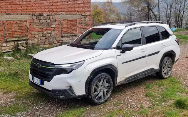 We tested (and off-road) the new Subaru Forester. See how much it costs in our country 