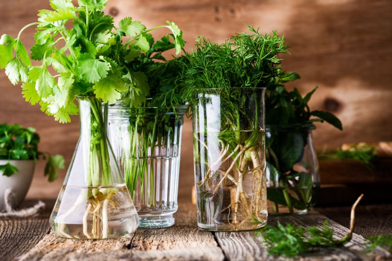 Как да съхраните храната по-дълго свежа?