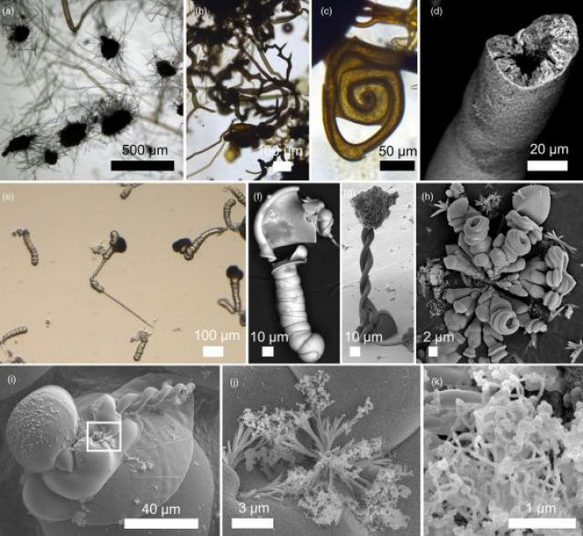  Учените предизвестяват за 