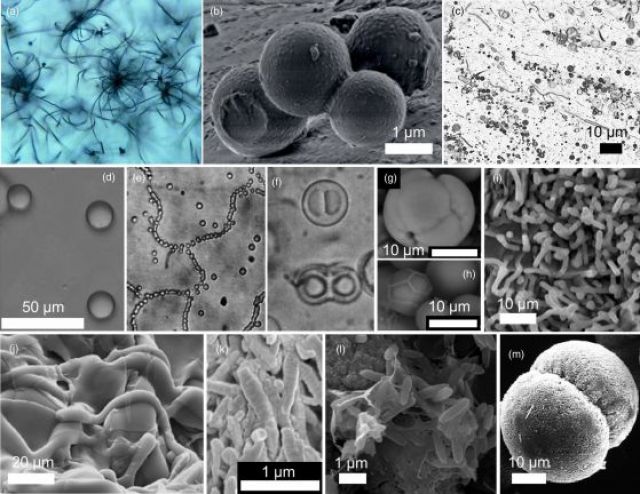  Учените предизвестяват за 