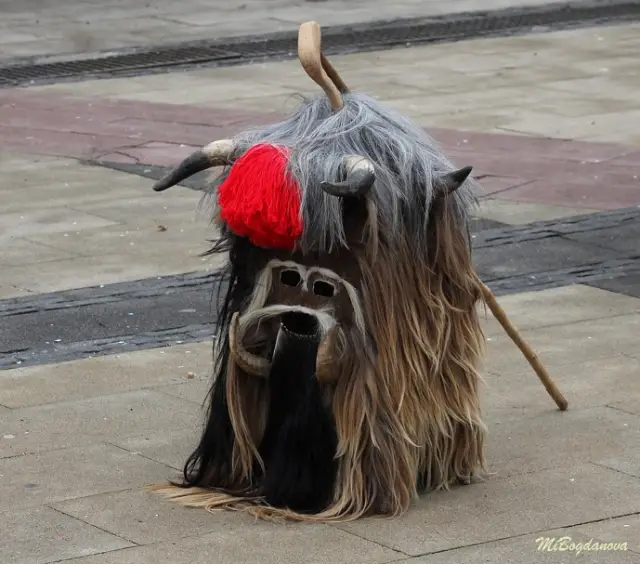 Над 13 000 участници в тазгодишното издание на „Сурва 2026“ (ВИДЕО+СНИМКИ)