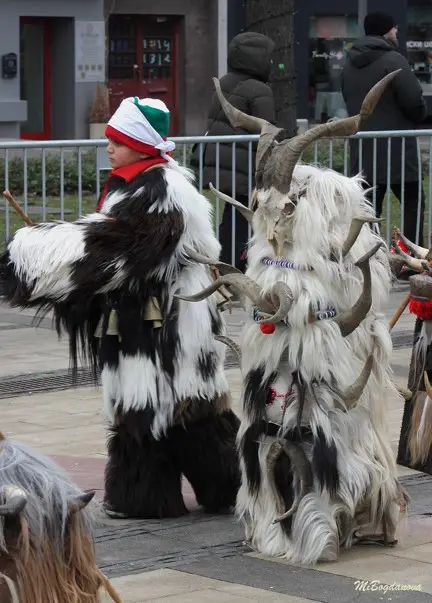 Над 13 000 участници в тазгодишното издание на „Сурва 2026“ (ВИДЕО+СНИМКИ)