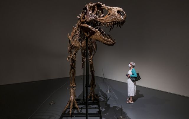 Продадоха скелет на динозавър за 6,1 милиона (СНИМКИ)