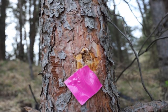 Показаха мястото от опита за покушение срещу Иван Гешев СНИМКИ