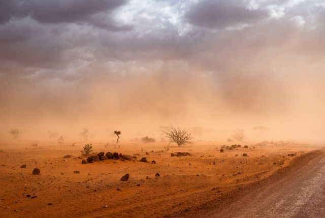 43 000 души са жертвите на сушата в Сомалия за миналата година