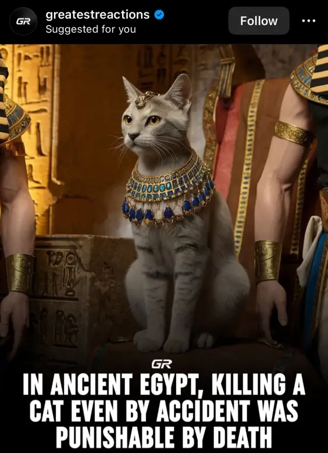  Жестокостта към животните е закононарушение, което заслужава най-строгото наказване! 