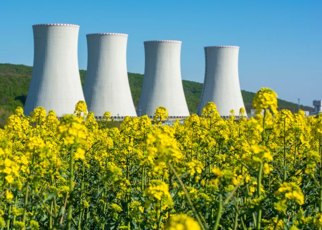 Русия удължава забраната за износ на рапица