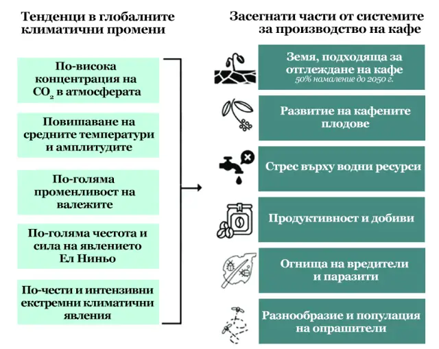 Какво е бъдещето на кафето в новата климатична реалност?