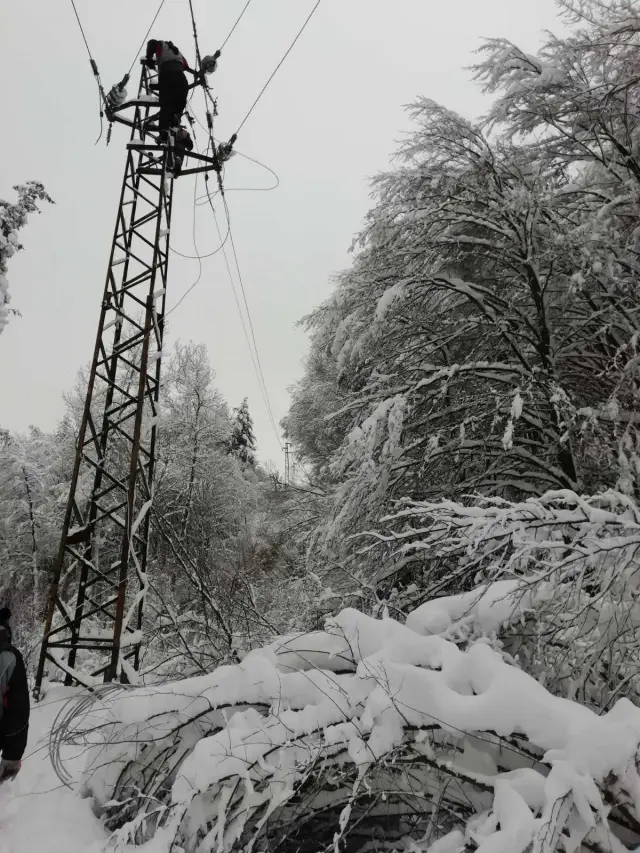 Отстранени са над 90% от авариите, причинени от снега в Западна България