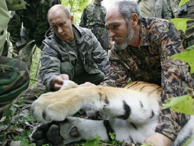 Тигърът на Путин се уреди с гадже