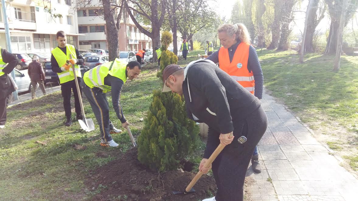 И в Пловдив залесяваха