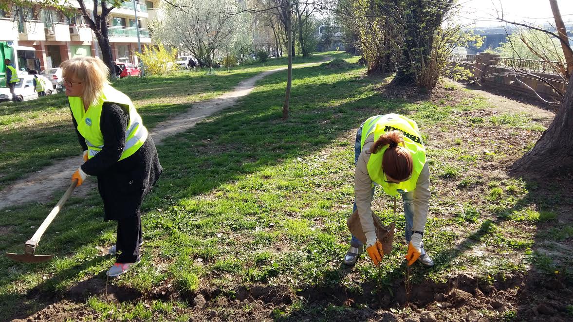 И в Пловдив залесяваха