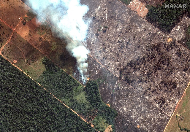 Бразилия призна: Не можем да спрем огъня (СНИМКИ)