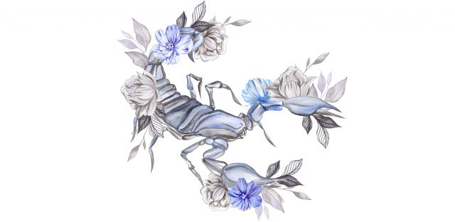  Кои зодии са правилни до гроб 