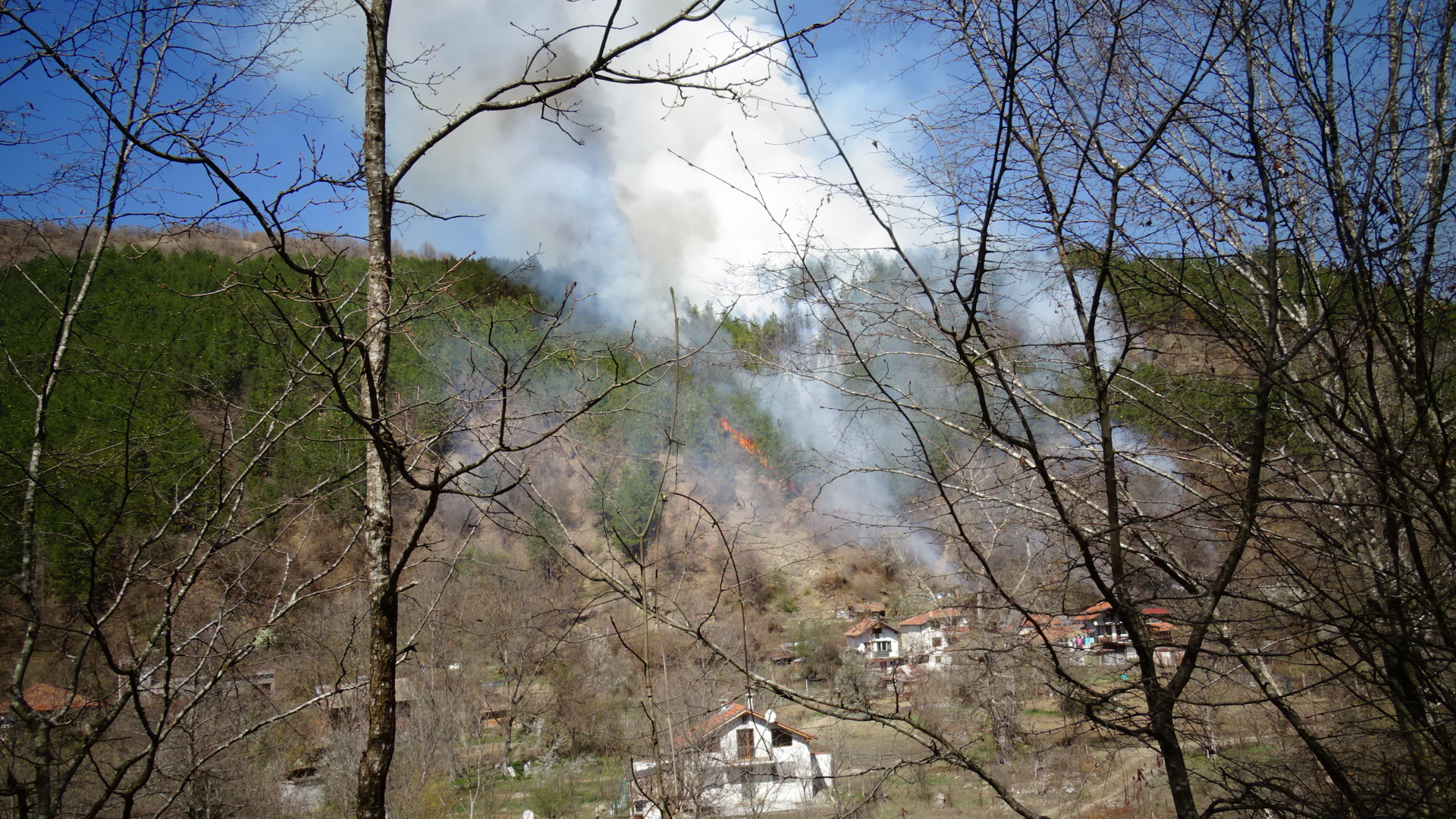Овладяха голям пожар над Благоевград