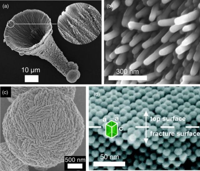  Учените предизвестяват за 