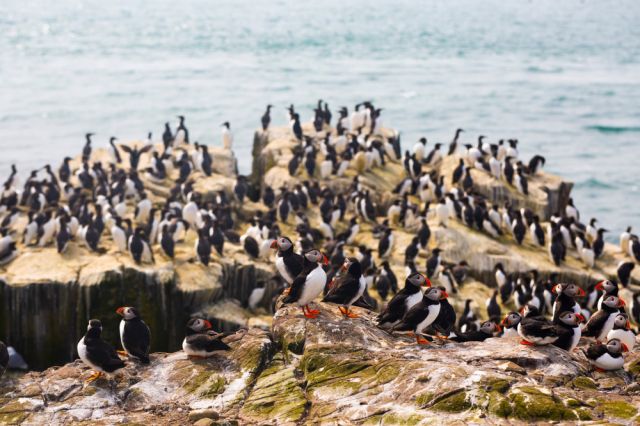  Защо хората не стъпват в никакъв случай на този остров? (СНИМКИ) 