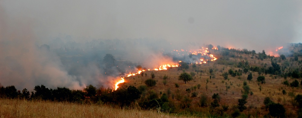 Огромен пожар в Хасковско