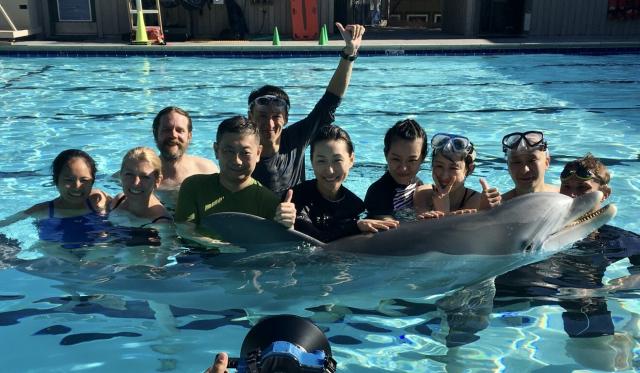 Делфини роботи може да заменят истинските в аквапаркове (СНИМКИ)