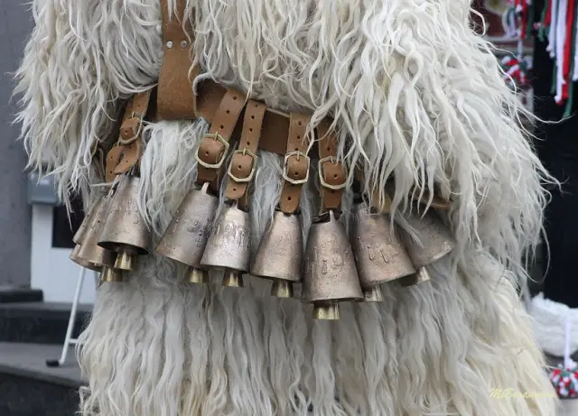 Над 13 000 участници в тазгодишното издание на „Сурва 2026“ (ВИДЕО+СНИМКИ)