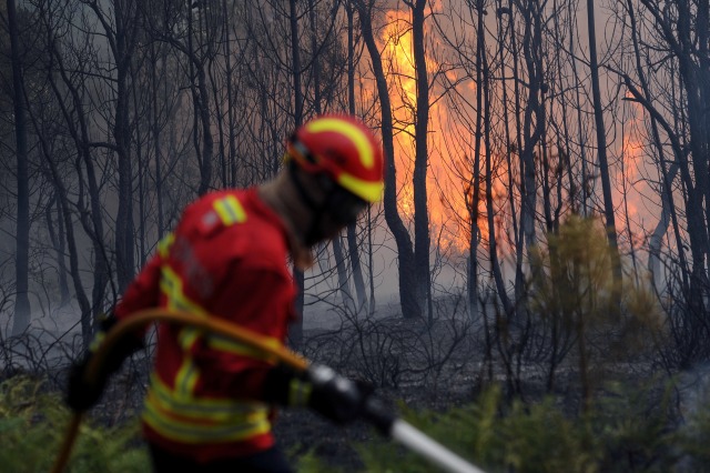 Огънят уби над 60 души в Португалия (СНИМКИ)