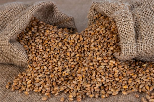 С временни силози САЩ спасяват пшеницата на Украйна