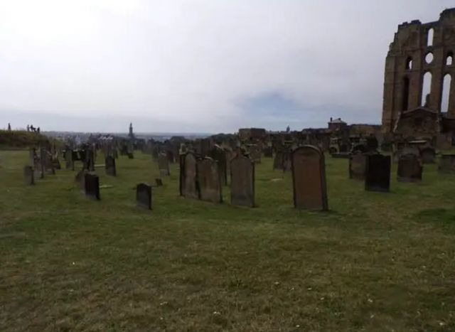 `Заснеха `Заснеха