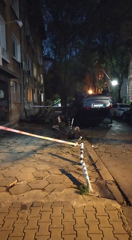 Зрелищна каскада на улицата, на която живее убиецът на Милен Цветков (СНИМКИ)