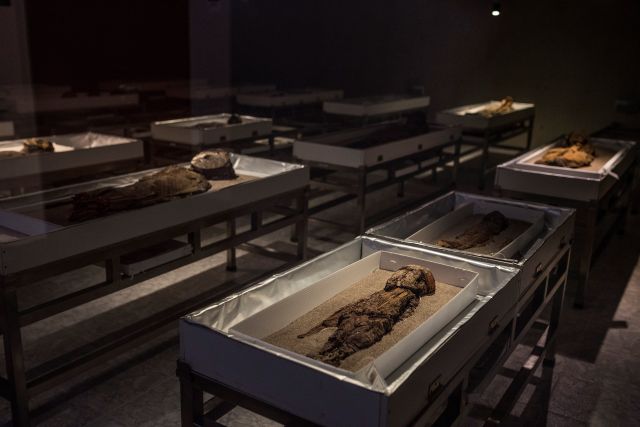  Най-старите мумии в света влизат в международното завещание на ЮНЕСКО (СНИМКИ) 