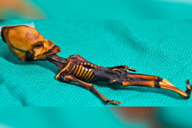 Биолози разбулиха страшната тайна на извънземната мумия от Атакама