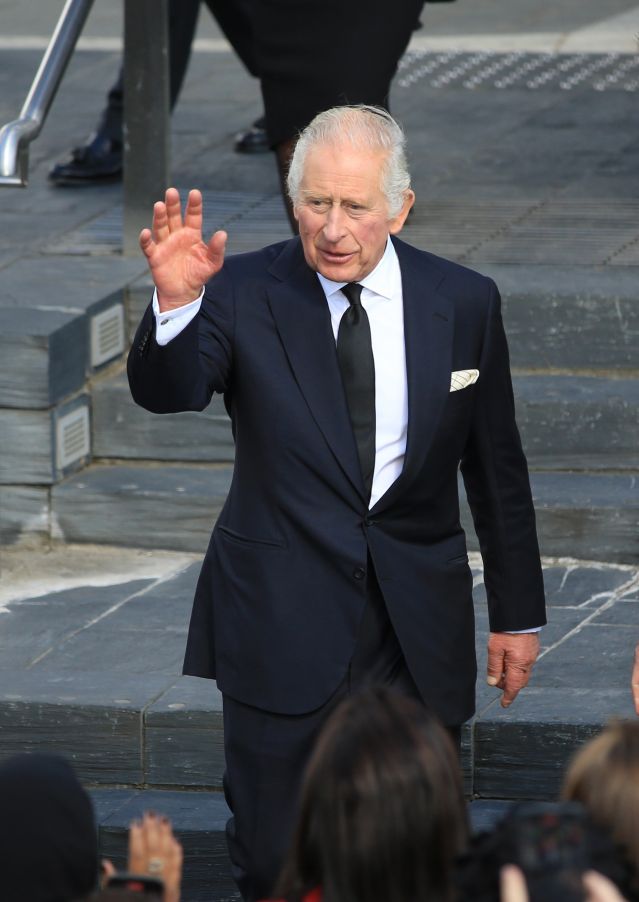 Крал Чарлз Трети ще предотврати възможността да бъде заместван от принцовете Андрю и Хари 