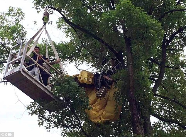 Впечатляващо предложение за брак се провали с гръм и трясък