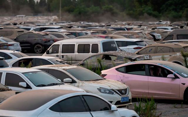  Тези десетки хиляди 