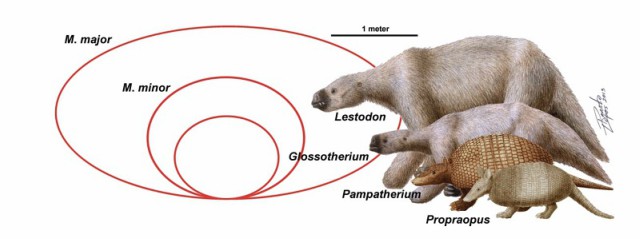 Гигантски ленивец е копал тунели преди хиляди години