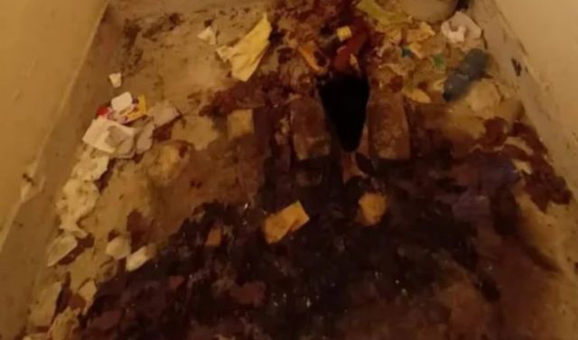  Гнусни СНИМКИ от Видинския панаир взривиха мрежата 