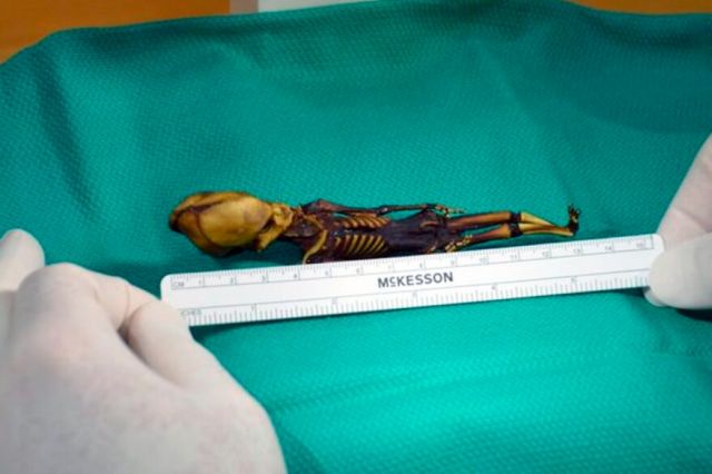  Биолози разбулиха страшната загадка на извънземната мумия от Атакама 