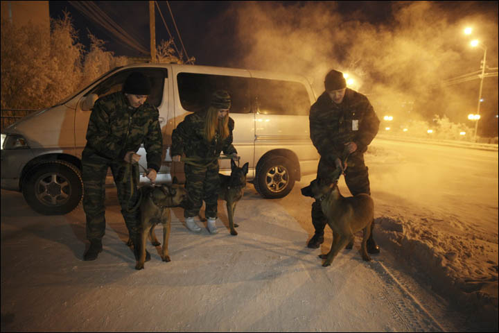 Клонирани кучета пристигнаха в Якутия. Следва вълнестият мамут?