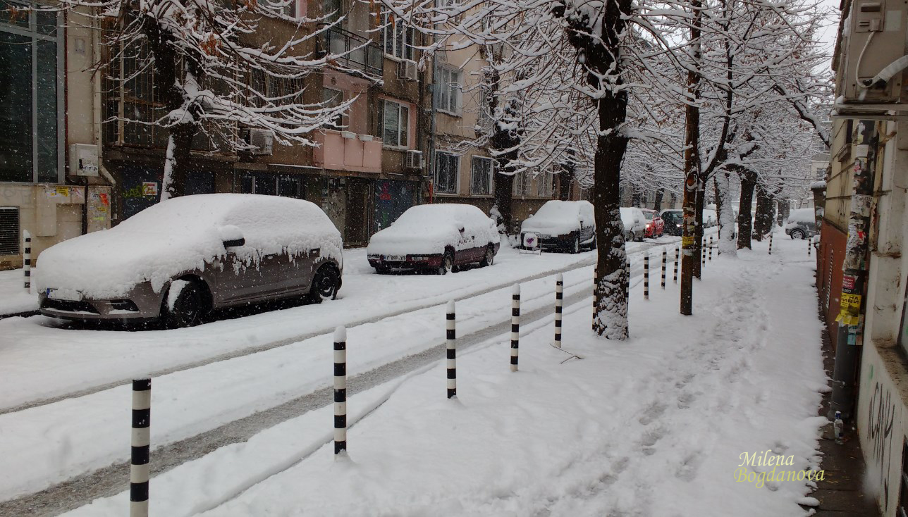 Първият сняг в София (СНИМКИ)