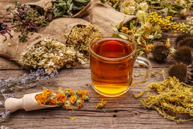 Международен ден на чая: Любопитни факти и ползи от този вековен и здравословен феномен  - 3
