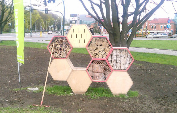 Построиха дом за 1500 пчели насред бетонен град