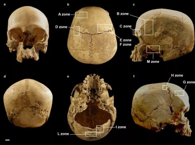 Разгадаха мистерията на черепа от пещера в Италия