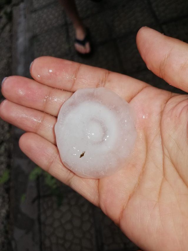  Градушка колкото яйце удари Плевенско 
