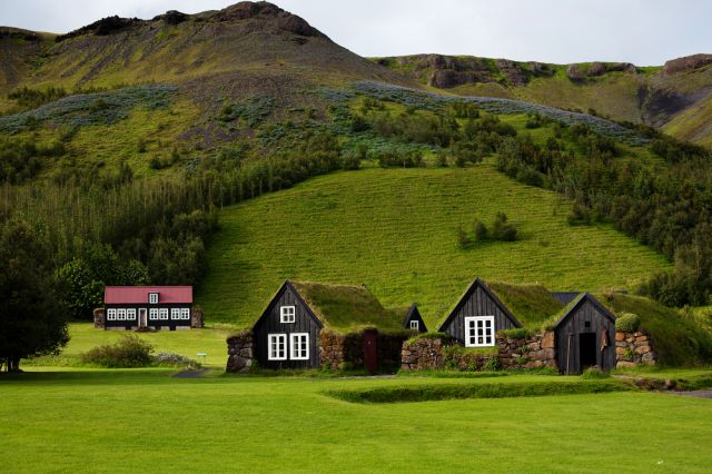  Защо по покривите на скандинавските къщи пораства трева? 