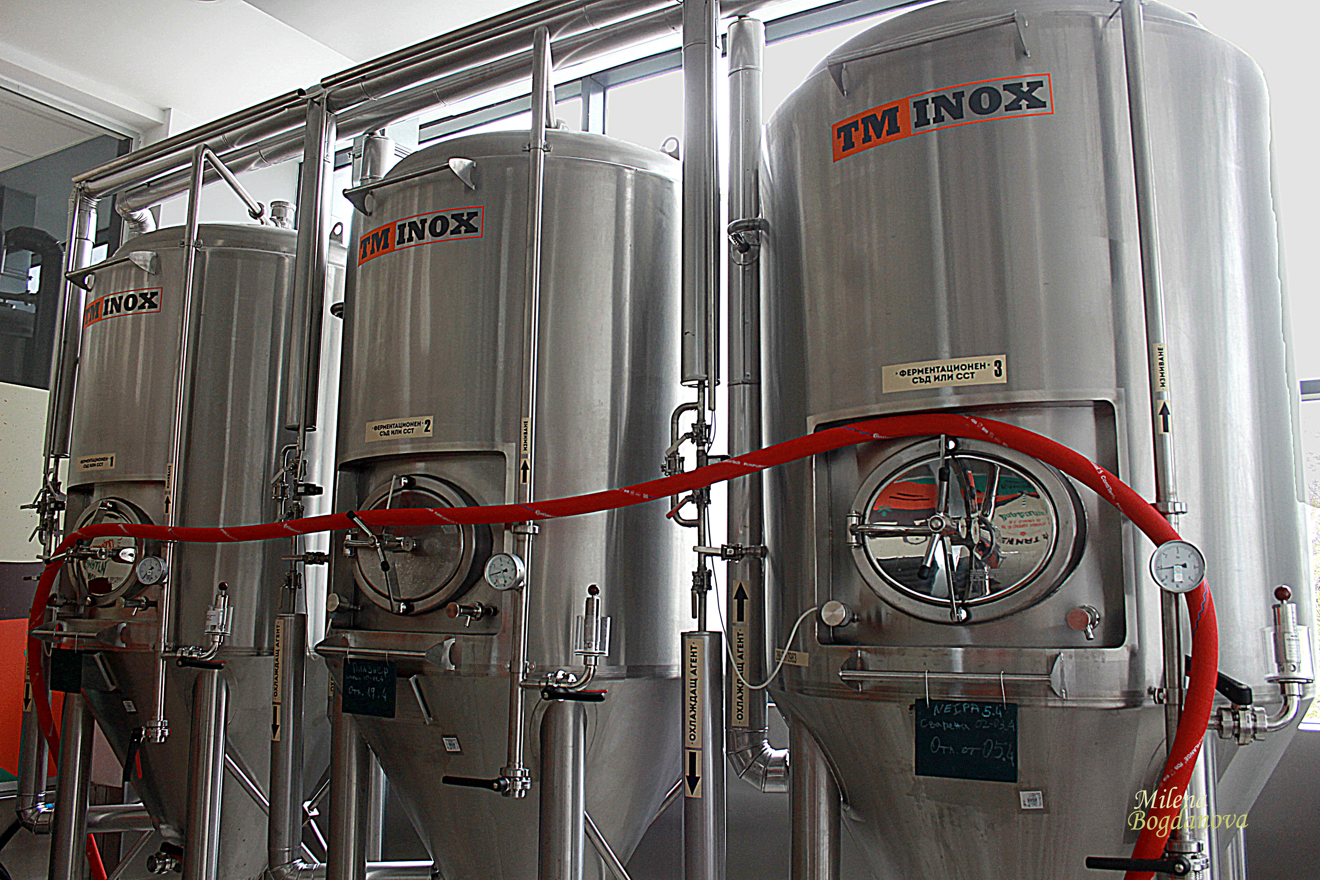 Една нетрадиционна инвестиция в България (СНИМКИ)