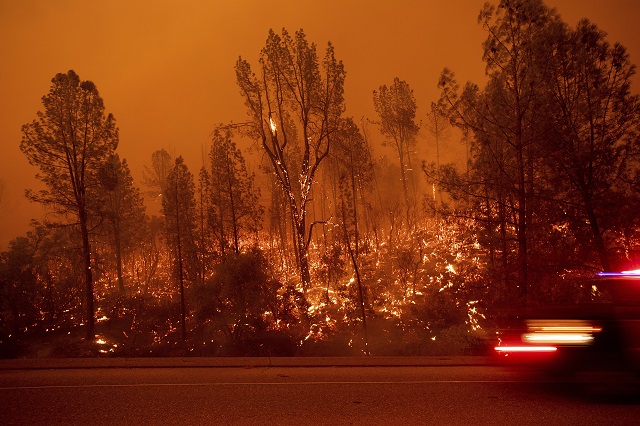 Хиляди бягат от огъня в Калифорния (СНИМКИ)