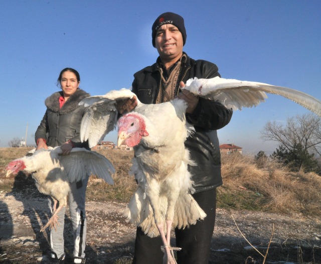 24 декември: България в снимки