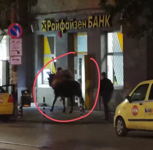 Невиждана гледка в центъра на София (СНИМКИ)