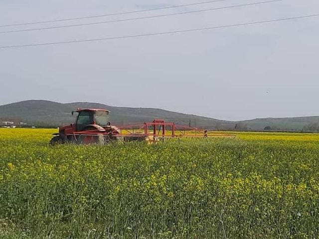 В Булгаристан е по този начин. Когато министър ти е Деса Танева – също! 