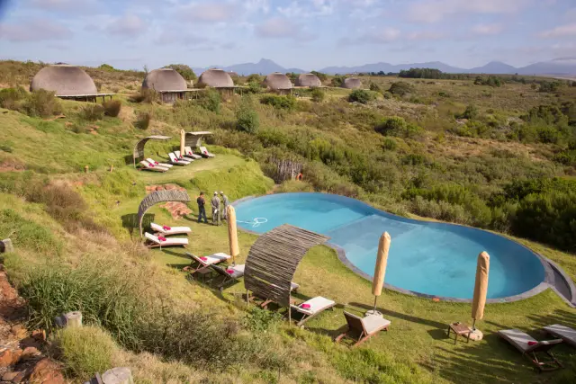  6-тонен слон умъртви грубо шеф на резерват 